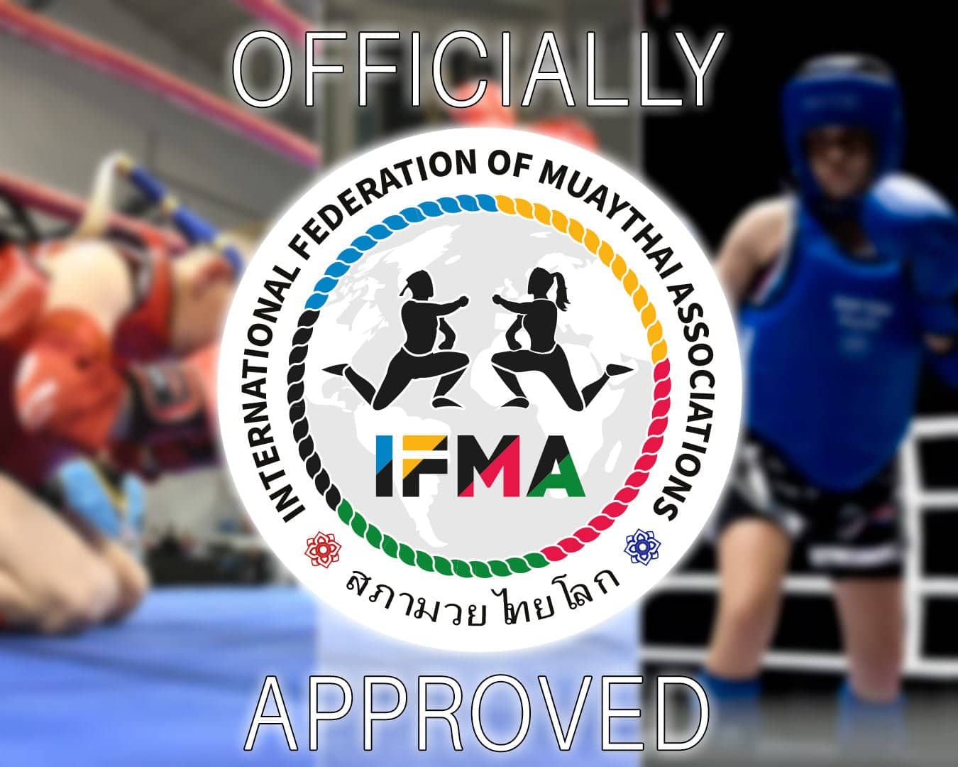 Muay Thai utstyr – boksehansker, shorts og beskyttelse fra Combat Store