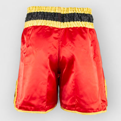 TOP TEN WAKO Kickboxing shorts m/UV LABEL - CombatStore.no